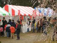 田上うめまつり