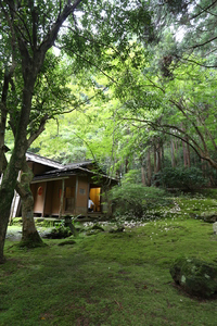 湯のまち巡り